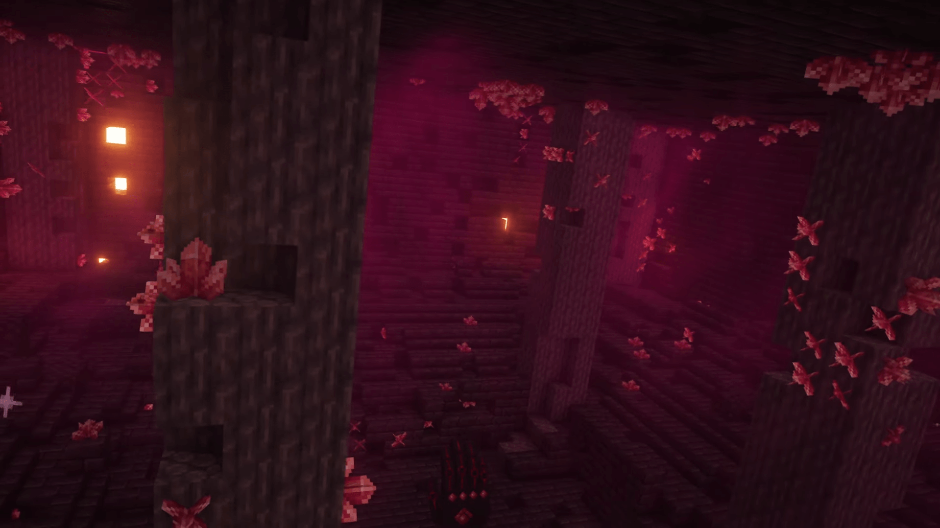 image11.png