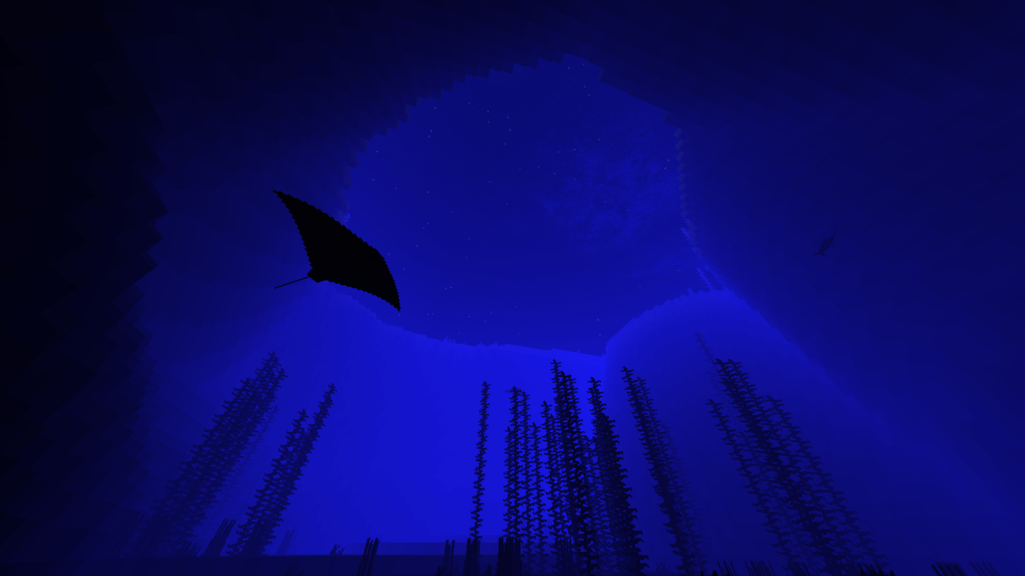 🦈