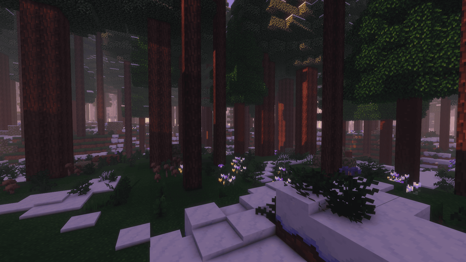 Snowy taiga